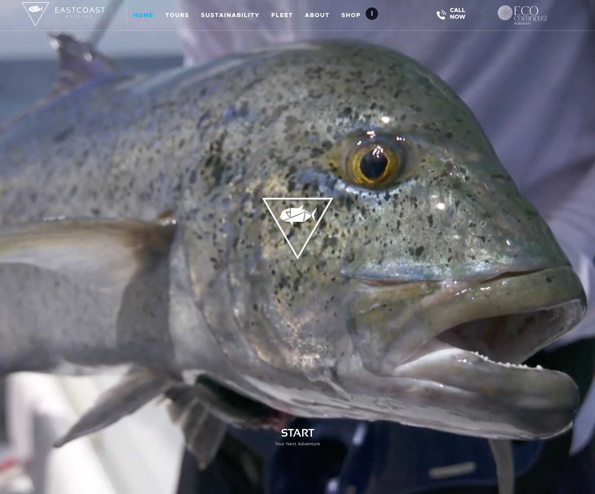 East Coast Angling East Coast Angling