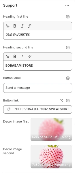 Support section settings
