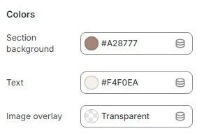 page-404-settings-colors