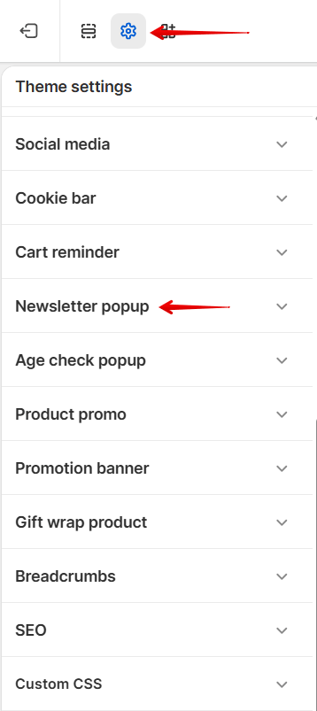 theme-settings-newsletter-popup