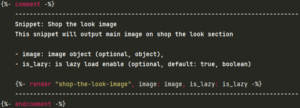 Snippet: shop-the-look.liquid