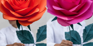 Images row (preview)
