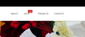 Header (Block Mega menu. General. Badge text)