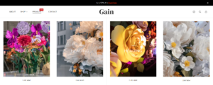 Header (Block Mega menu images. Preview)