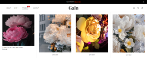 Header (Block Mega menu images. Media item. Product)