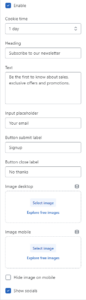 Newsletter popup settings (General)