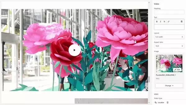 Video (General. Layout)