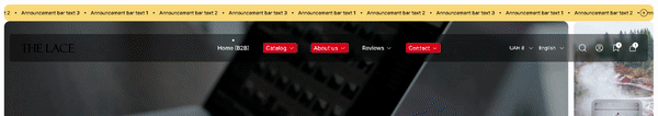 transperent header