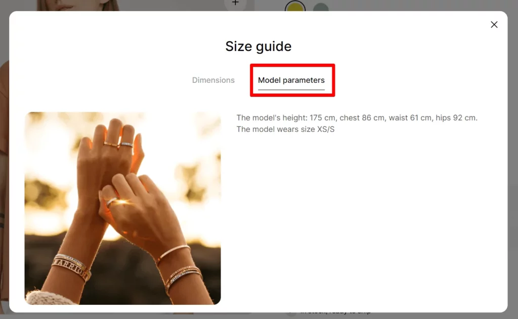 Model tab label