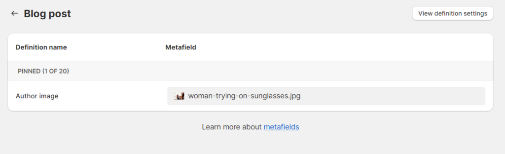 blogpost metafield