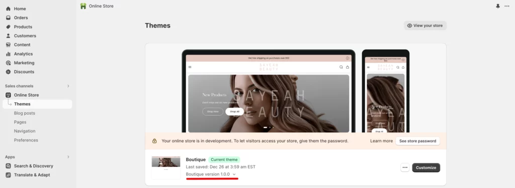 theme’s version 2