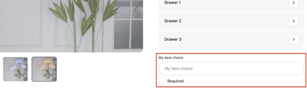 custom field