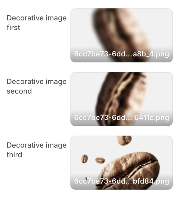 404 template section decor images