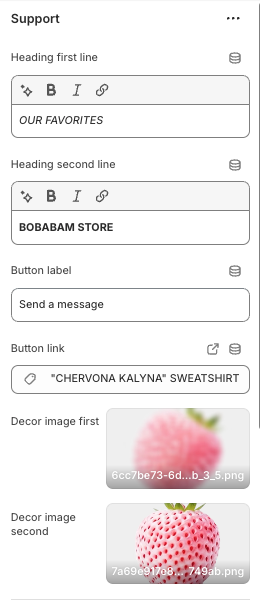 Support section settings