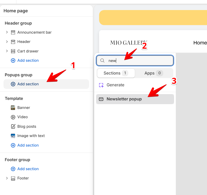 add Newsletter popup
